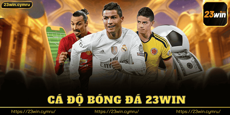 Cá Độ Bóng Đá 23win